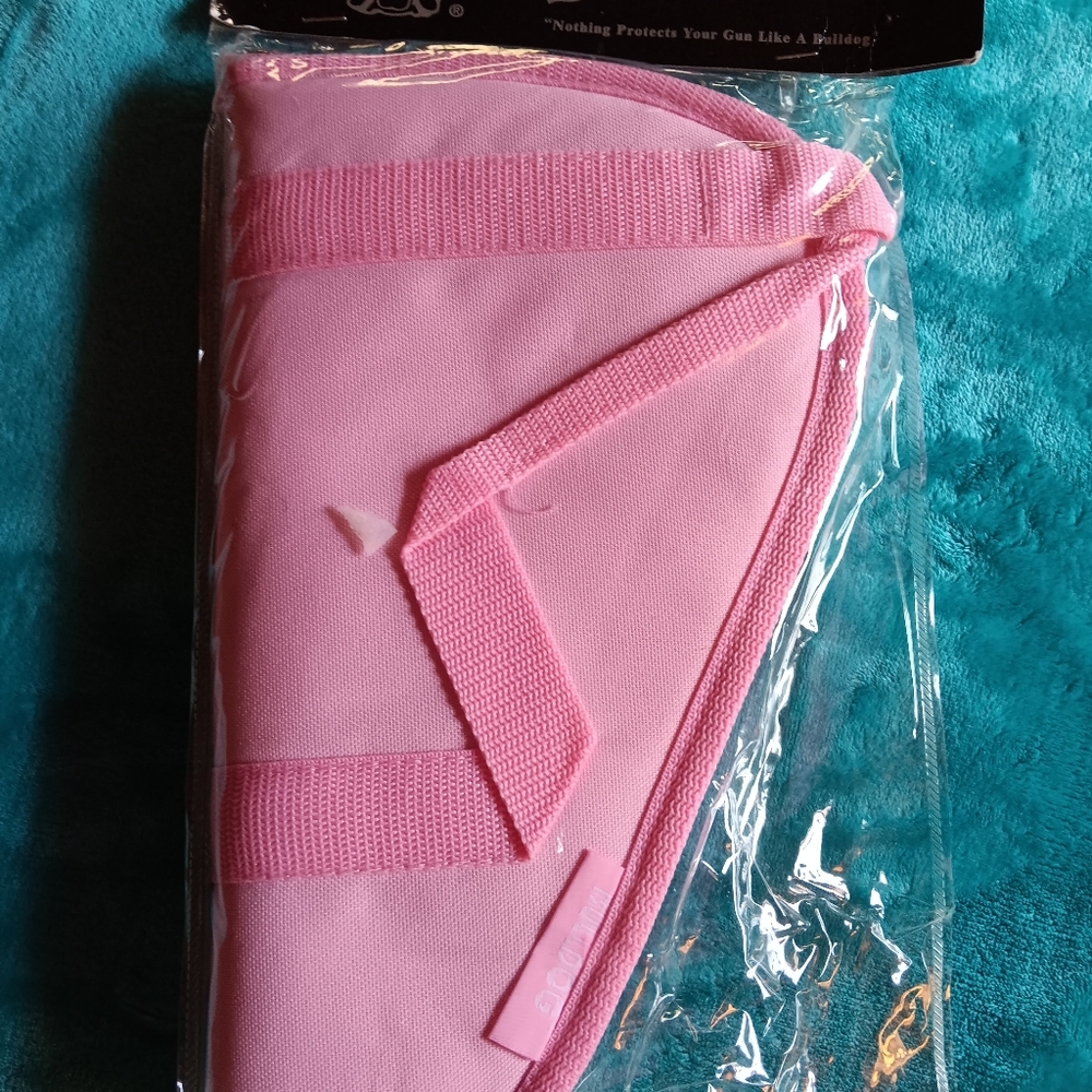 Pistol case